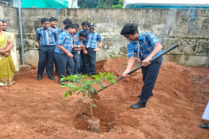 World Environment day